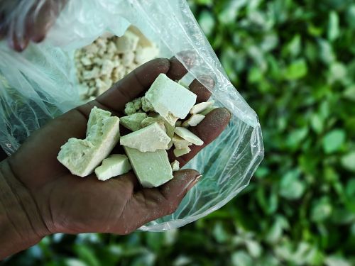 buy best colombian cocaine online